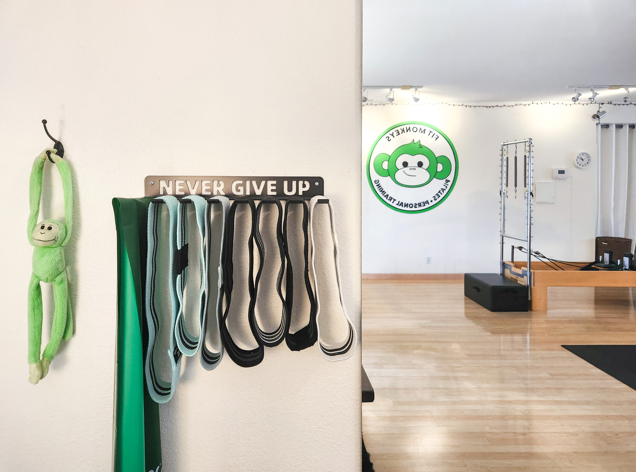 Resistance bands and training equipment inside the private Fit Monkeys personal training studio.